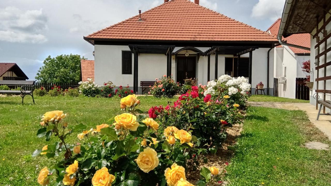 Pocitniska Hisa Kog Exterior foto