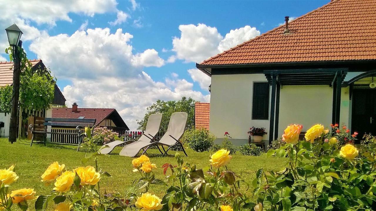 Pocitniska Hisa Kog Exterior foto